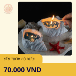 Nến Thơm Sò Biển, Món Quà Ý Nghĩa